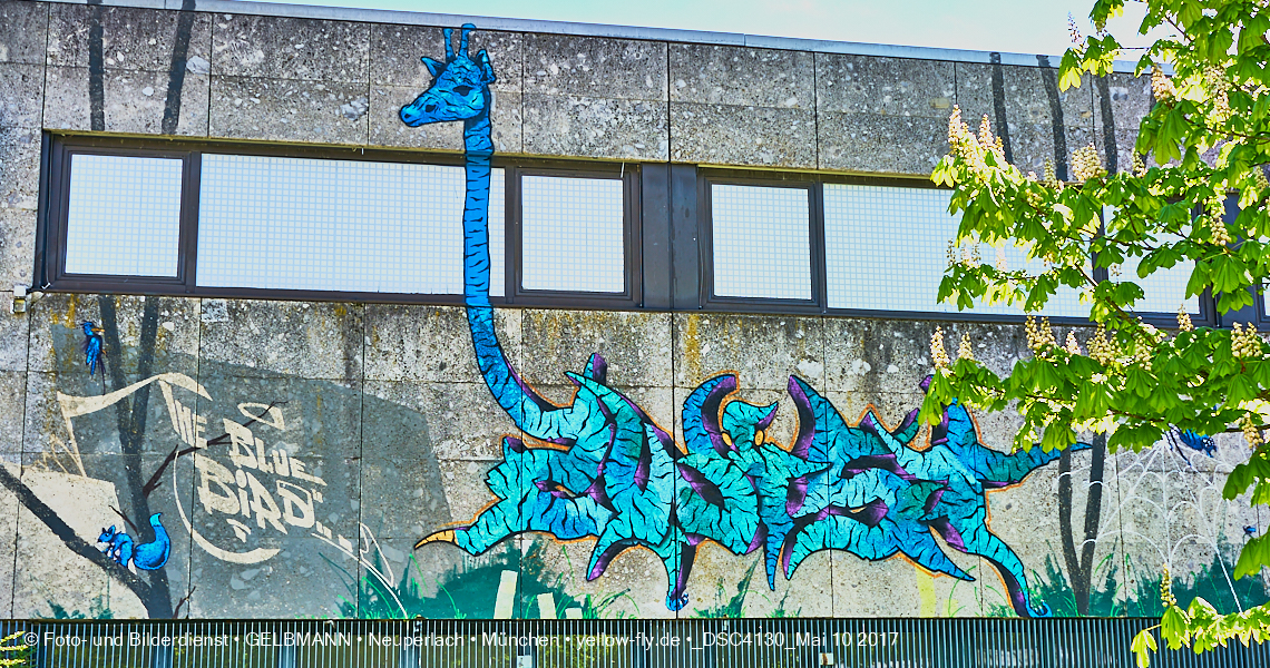 21.03.2017 - Abrissbaustelle Quiddezentrum in Neuperlach